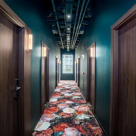 Lemonade サンティアゴ・デ・コンポステーラ